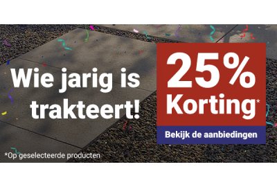 Bestrating.nl: van een bijverdienste naar dé specialist in tuinbestrating