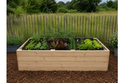 Zelf een moestuinbak maken: zo leg je stap voor stap je eigen groentetuin aan