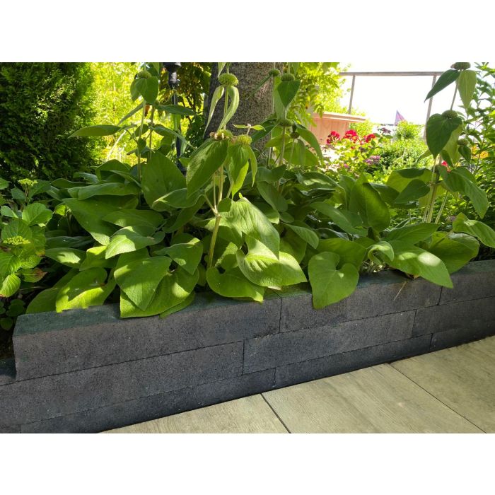 Forto Walling (Brickline) 10x10x60 cm Zwart kopen? | Bestrating.nl