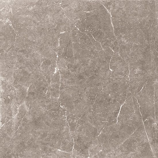 Warm Grey