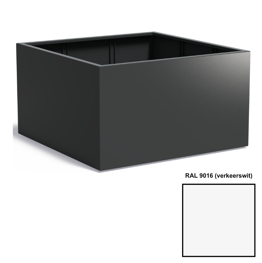 Ral 9016 (Verkeerswit)