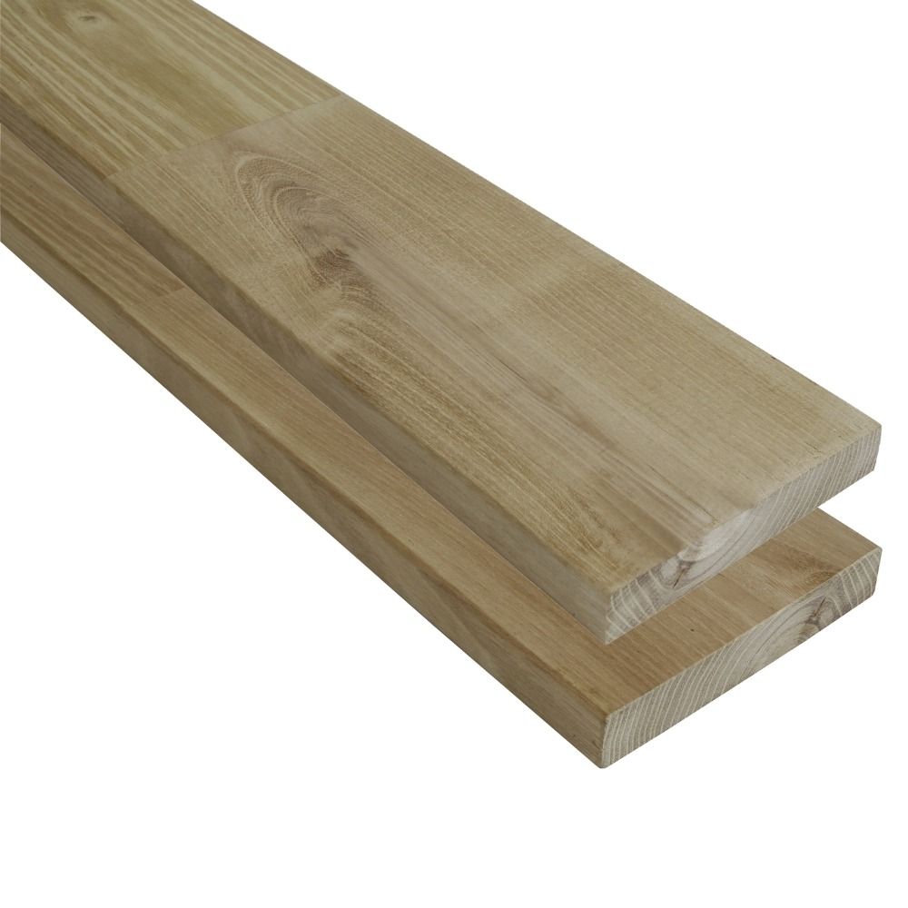 Robinia