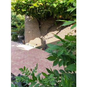 Betonstraatsteen 6 cm Terracotta/Geel - BKK - BSS