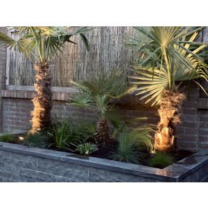 Siam Bluestone vijverrand 100x15x3 cm verzoet
