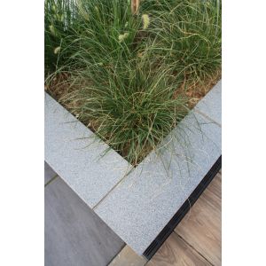 Vijverrand 100x25x3 cm Dark Grey (6 zijdes verzoet, 8 facetranden)