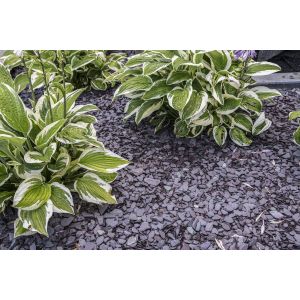 Canadian Slate Violet 10-30 mm (BigBag á 1000 kg)