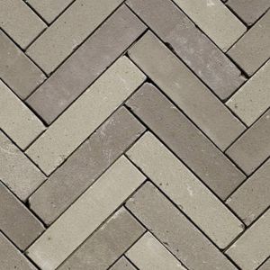 Gebakken Waalformaat 5x20x6 cm Getrommeld Twents