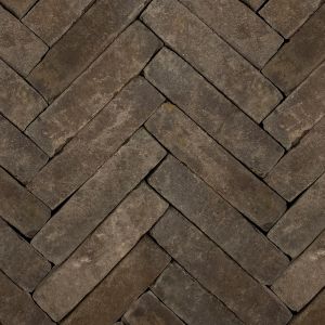 Gebakken Waalformaat 5x20x6 cm Getrommeld Twents