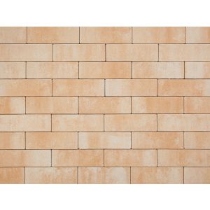 Smartton 10x30x6 cm Mont Blanc is een hoogwaardige tuintegel van het merk Redsun.