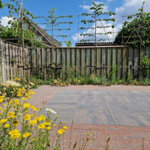 Terrastegel H2O Comfort Square 60x60x4 cm Dark Sepia