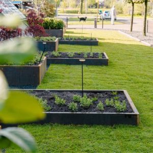 Adezz CARREZ Cortenstalen Plantenbak 100x100x20 cm zonder bodem