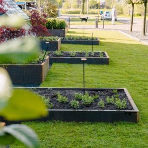 Adezz CARREZ Cortenstalen Plantenbak 140x140x20 cm zonder bodem