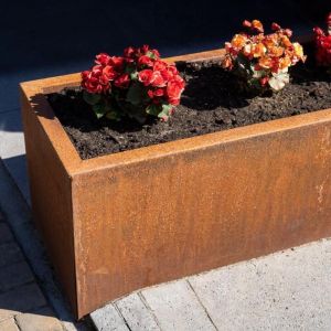 Adezz CARREZ Cortenstalen Plantenbak 200x50x60 cm
