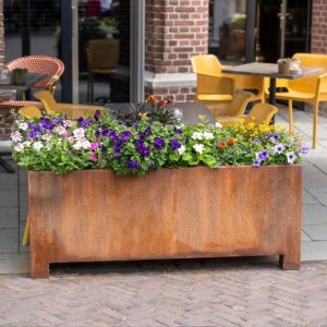 Adezz CARREZ cortenstalen Plantenbak 200x40x80 cm met voet