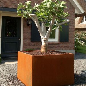 Adezz CARREZ Cortenstalen Plantenbak 60x60x60 cm