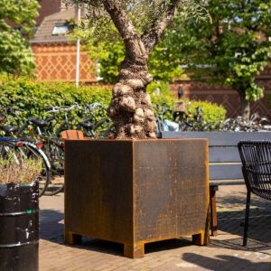 Adezz CARREZ cortenstalen Plantenbak 100x100x60 cm met voet