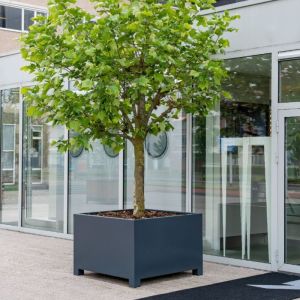 Adezz CARREZ Antracietgrijze (Aluminium) Plantenbak 100x100x60 cm met voet