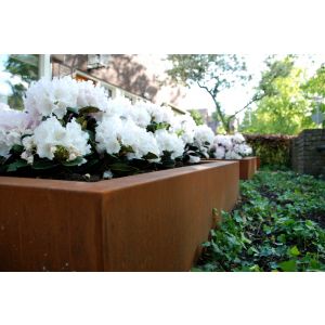 Adezz CARREZ Cortenstalen Plantenbak 200x100x80 cm zonder bodem