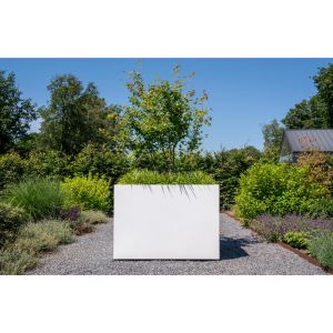 Adezz CARREZ Zwartgrijze (Aluminium) Plantenbak 50x50x80 cm