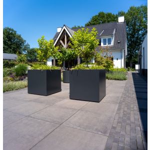 Adezz CARREZ Zwartgrijze (Aluminium) Plantenbak 50x50x100 cm