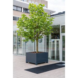 Adezz CARREZ Gitzwarte (Aluminium) Plantenbak 80x80x60 cm met voet