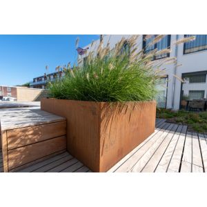 Adezz CARREZ Cortenstalen Plantenbak 200x200x80 cm zonder bodem