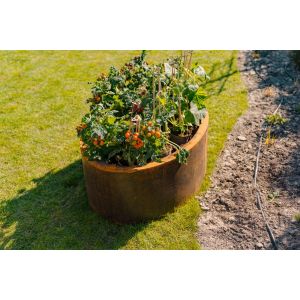 Adezz ELLIPSE Cortenstalen Plantenbak 200x120x60 cm
