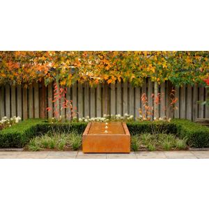 Adezz Cortenstalen Watertafel 600x100x40 cm