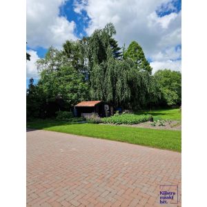 Stonique Trommel Betonstraatsteen 6 cm Groninger bruin