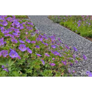 Ardennersplit grijs 14-20 mm (Big Bag á 1500 kg)