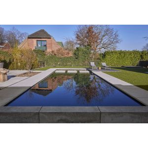 ArtiStone Oud Hollandse Zwembadrand 100x40x5 cm Grijs