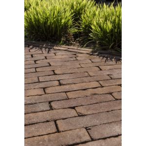 Waalformaat Getrommeld 6,5 cm Terra Roma Antica