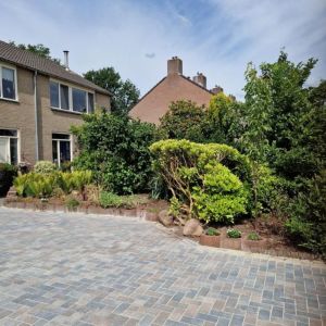 Betonstraatsteen 21x10,5x6 cm Tricolore komo