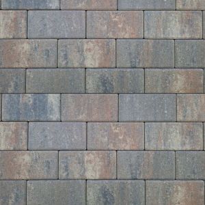 Betonstraatsteen Patio Brick 21x10,5x8 cm Tricolore TOP
