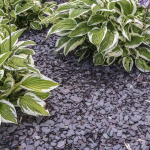 Canadian Slate Violet 10-30 mm (BigBag á 1000 kg)