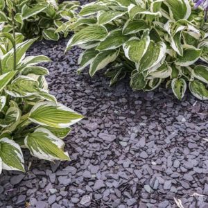 Canadian Slate Violet 30-60 mm (BigBag á 1000 kg)