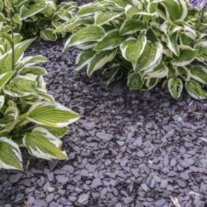 Canadian Slate Violet 10-30 mm (zak á 20 kg)