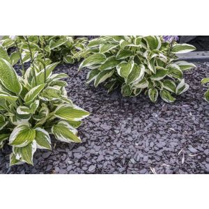 Canadian Slate Violet 30-60 mm (BigBag á 1000 kg)