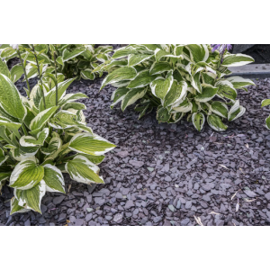 Canadian Slate Violet 30-60 mm (zak á 20 kg)