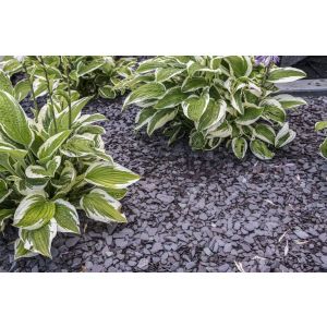Canadian Slate Violet 10-30 mm (zak á 20 kg)