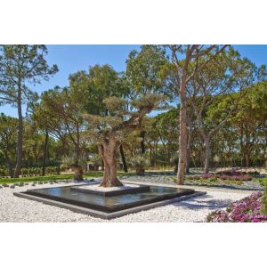 Carrara 4-6 cm (Gaas á 720 kg)