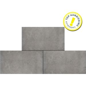 Ceramica Westbury 45x90x2 cm Mud keramische tuintegel heeft een goede prijs-kwaliteit verhouding. De tuintegel is geschikt voor het aanleggen van terras en tuin.