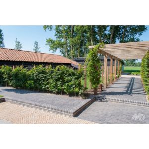 Waalformaat Clayville 20x4,8x6 cm Antwerpen