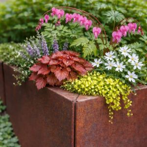 Cortenstaal Plantenbak Modulair 50x50x50 cm