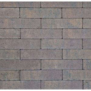 Stonique® Dikformaat XL Getrommeld 28x7x8 cm Oud Heeg