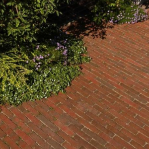 Dikformaat ongetrommeld 8 cm Lumino (rood-paars genuanceerd)