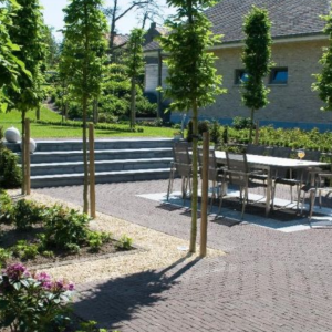 Dikformaat ongetrommeld 8 cm Violeto (paars-bruin)