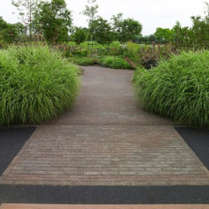 Dikformaat Vida getrommeld 6 cm Auxo