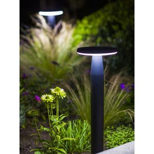 in-lite DISC