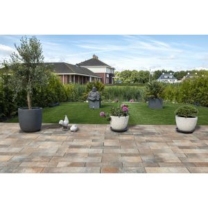 Eliton Supreme Linea banenverband 8 cm Kilimanjaro